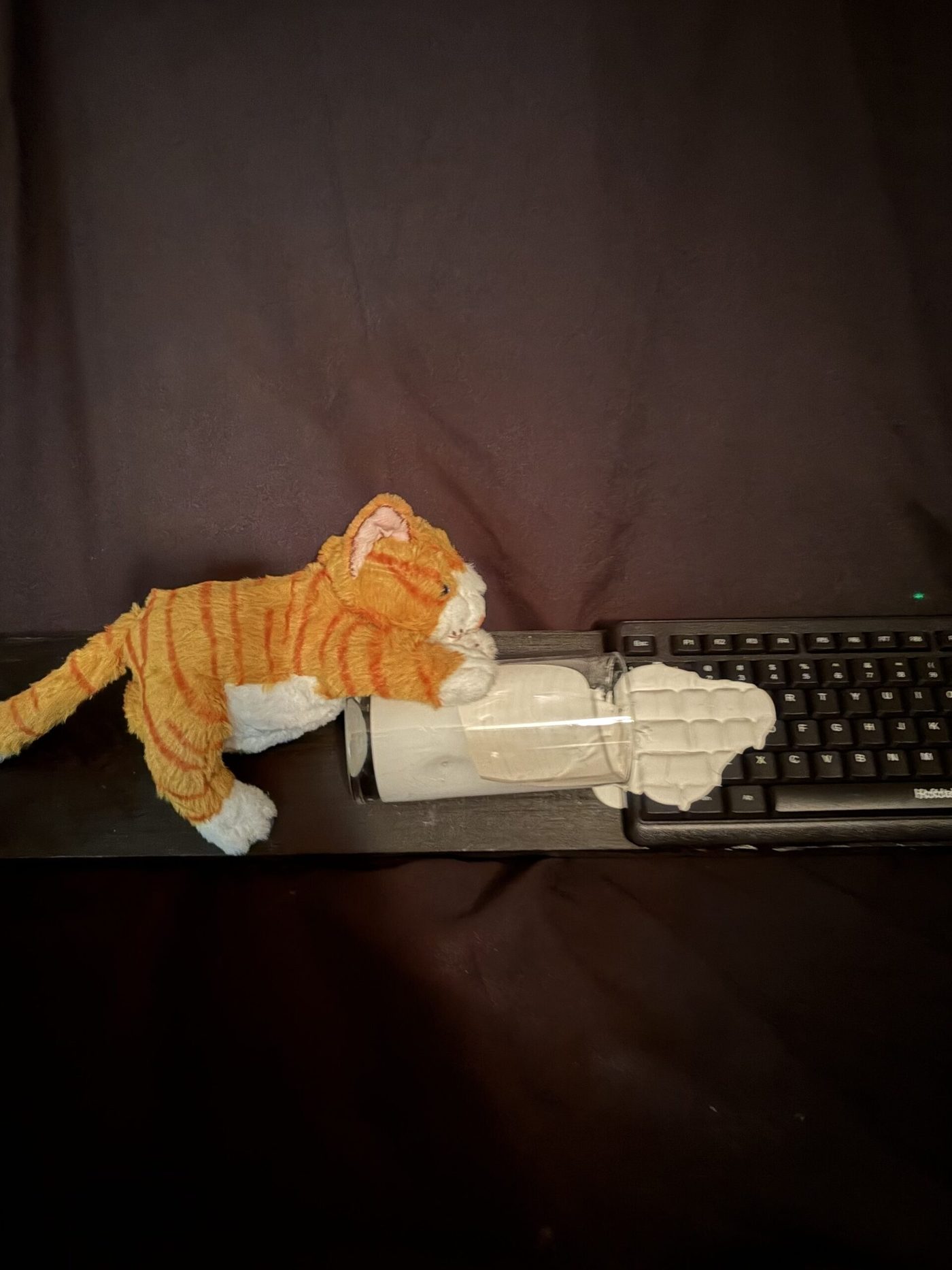 Bad Kitty